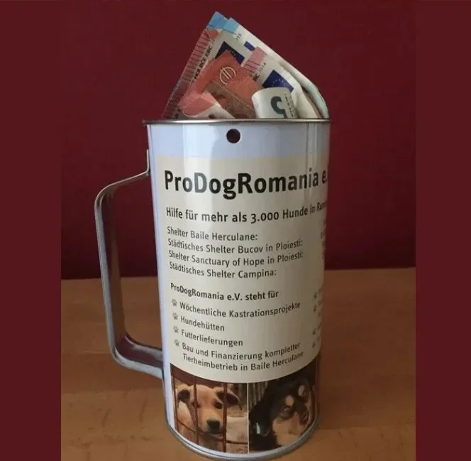 Spendendose von ProDogRomania im EDEKA Markt Zeller