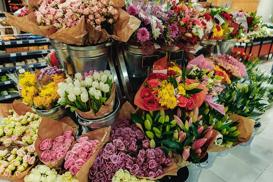 Blumen und Pflanzen im Markt Altenmünster